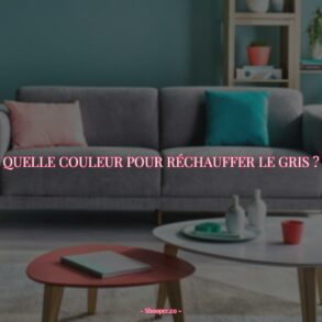 Comment Utiliser les Couleurs pour Réchauffer un Décor Gris