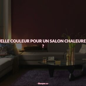 Comment Créer un Salon Chaleureux avec des Couleurs Chaudes et Optimistes ?