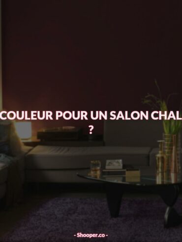 Comment Créer un Salon Chaleureux avec des Couleurs Chaudes et Optimistes ?