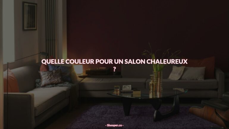 Comment Créer un Salon Chaleureux avec des Couleurs Chaudes et Optimistes ?