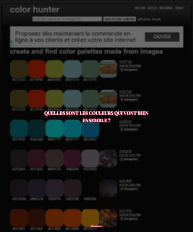 Comment Assortir des Couleurs: Astuces et Conseils Pour Une Harmonie Visuelle Parfaite!